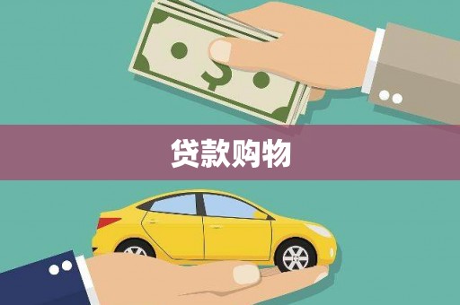 上林贷款购物