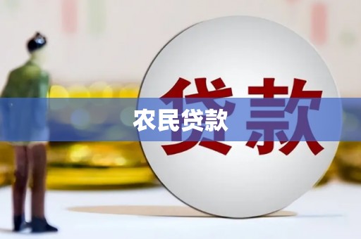 上林农民贷款