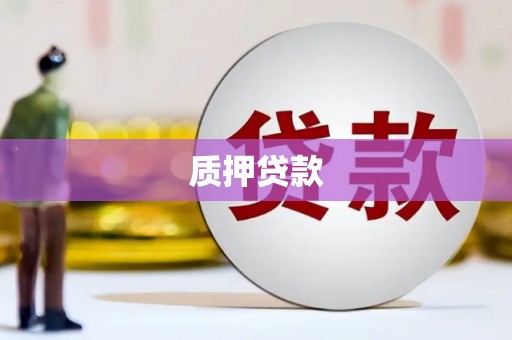 上林质押贷款