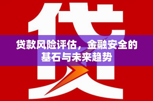 上林贷款风险评估，金融安全的基石与未来趋势