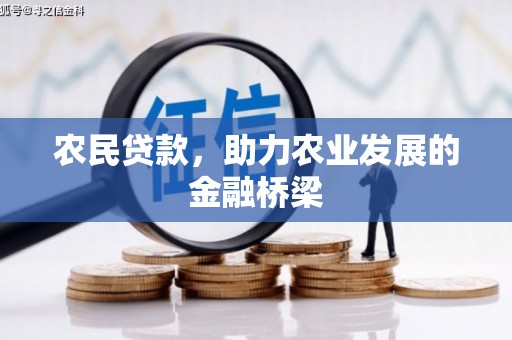 上林农民贷款，助力农业发展的金融桥梁