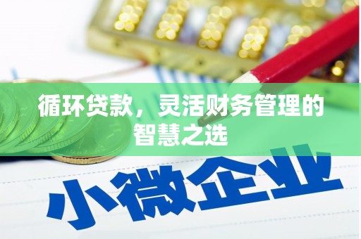 上林循环贷款，灵活财务管理的智慧之选