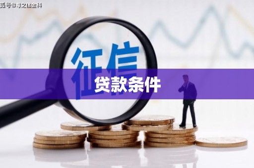 上林贷款条件