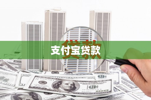 上林支付宝贷款