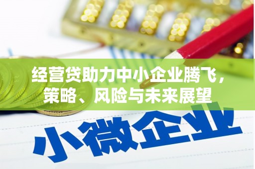 上林经营贷助力中小企业腾飞，策略、风险与未来展望