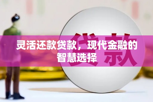 上林灵活还款贷款，现代金融的智慧选择
