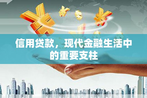 上林信用贷款，现代金融生活中的重要支柱