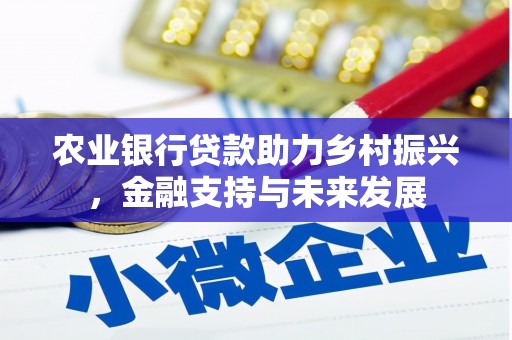 上林农业银行贷款助力乡村振兴，金融支持与未来发展