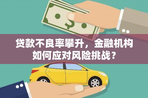 上林贷款不良率攀升，金融机构如何应对风险挑战？