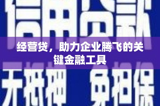 上林经营贷，助力企业腾飞的关键金融工具