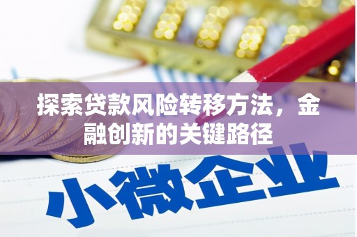 上林探索贷款风险转移方法，金融创新的关键路径