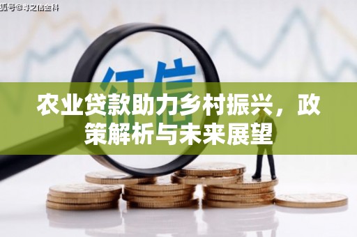 上林农业贷款助力乡村振兴，政策解析与未来展望