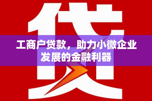上林工商户贷款，助力小微企业发展的金融利器