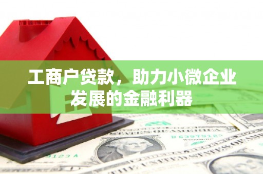 上林工商户贷款，助力小微企业发展的金融利器