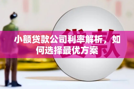 上林小额贷款公司利率解析，如何选择最优方案