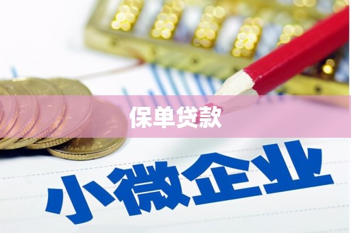 上林保单贷款