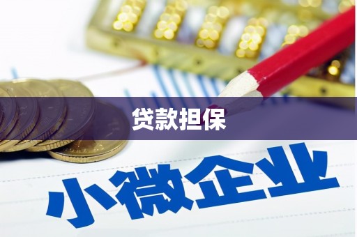 上林贷款担保