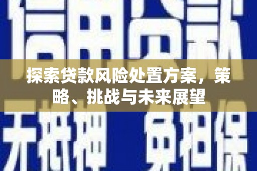 上林探索贷款风险处置方案，策略、挑战与未来展望