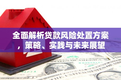 上林全面解析贷款风险处置方案，策略、实践与未来展望