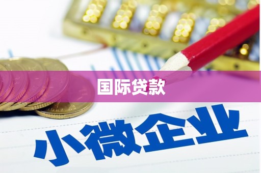 上林国际贷款