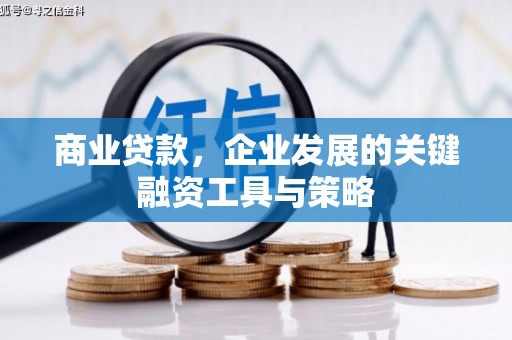 上林商业贷款，企业发展的关键融资工具与策略