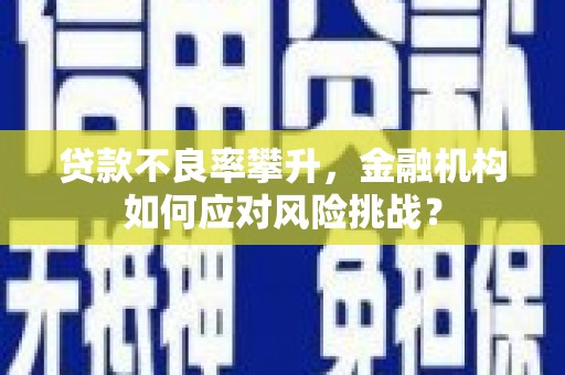 上林贷款不良率攀升，金融机构如何应对风险挑战？