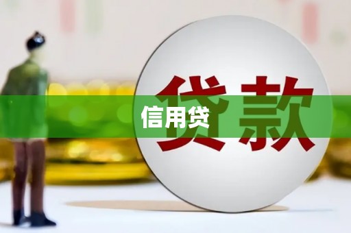 上林信用贷