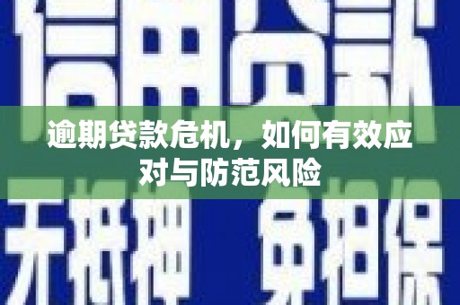 上林逾期贷款危机，如何有效应对与防范风险