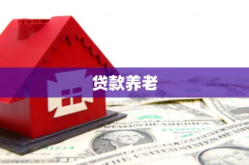 上林贷款养老