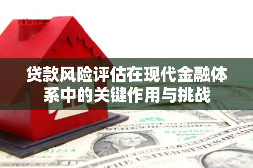 上林贷款风险评估在现代金融体系中的关键作用与挑战
