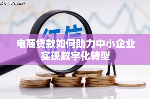 上林电商贷款如何助力中小企业实现数字化转型