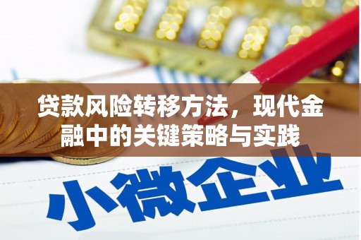 上林贷款风险转移方法，现代金融中的关键策略与实践