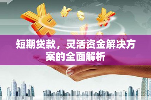 上林短期贷款，灵活资金解决方案的全面解析