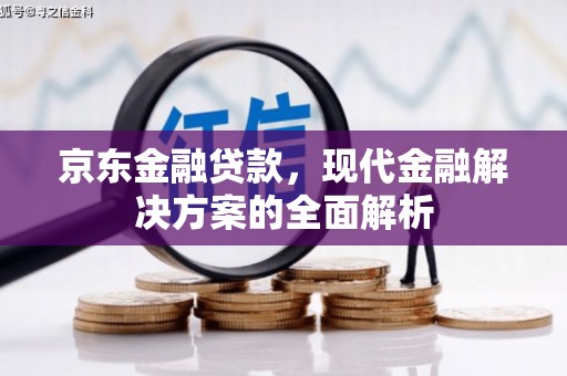 上林京东金融贷款，现代金融解决方案的全面解析