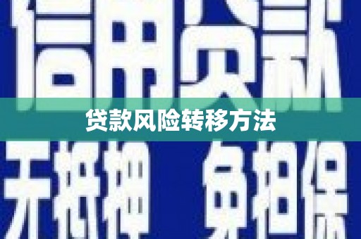 上林贷款风险转移方法