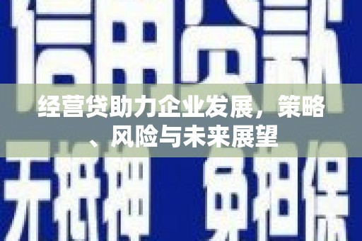 上林经营贷助力企业发展，策略、风险与未来展望