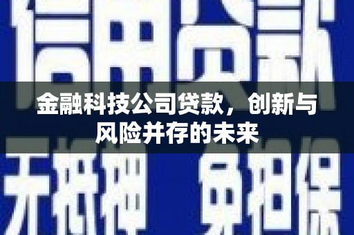 上林金融科技公司贷款，创新与风险并存的未来