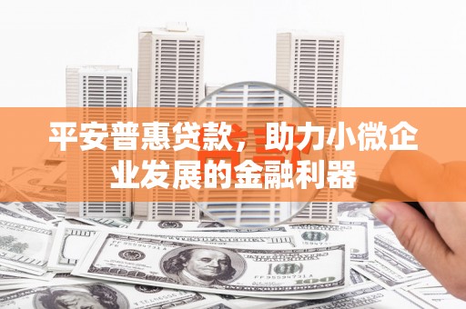 上林平安普惠贷款，助力小微企业发展的金融利器