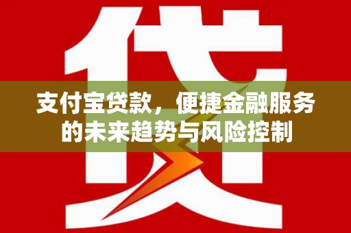 上林支付宝贷款，便捷金融服务的未来趋势与风险控制