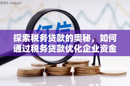 上林探索税务贷款的奥秘，如何通过税务贷款优化企业资金流
