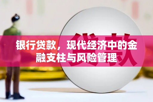 上林银行贷款，现代经济中的金融支柱与风险管理