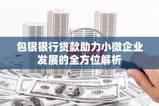 上林包银银行贷款助力小微企业发展的全方位解析