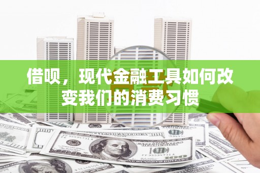 上林借呗，现代金融工具如何改变我们的消费习惯