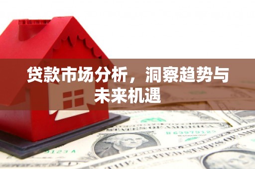 上林贷款市场分析，洞察趋势与未来机遇