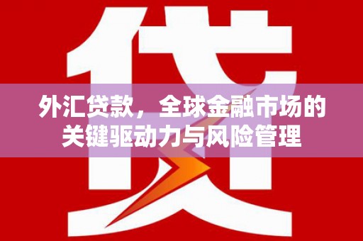 上林外汇贷款，全球金融市场的关键驱动力与风险管理