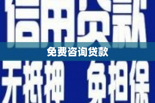 上林免费咨询贷款