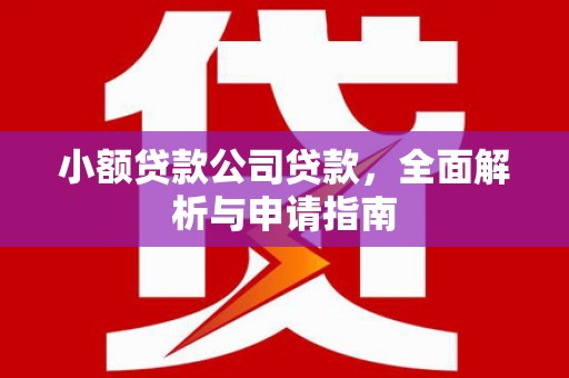 上林小额贷款公司贷款，全面解析与申请指南
