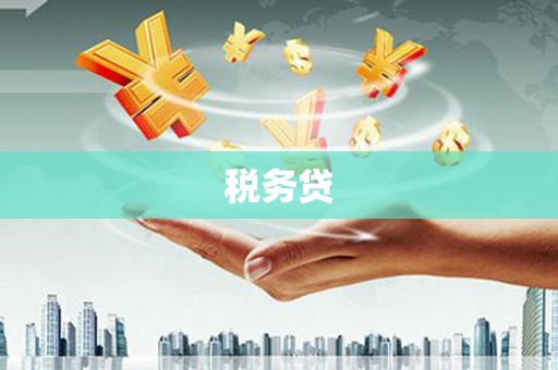 上林税务贷