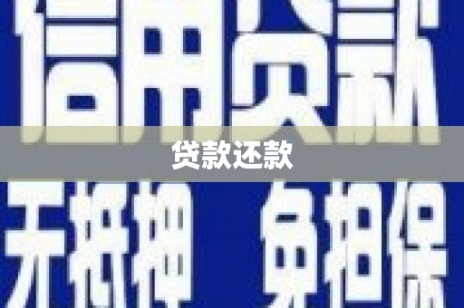 上林贷款还款
