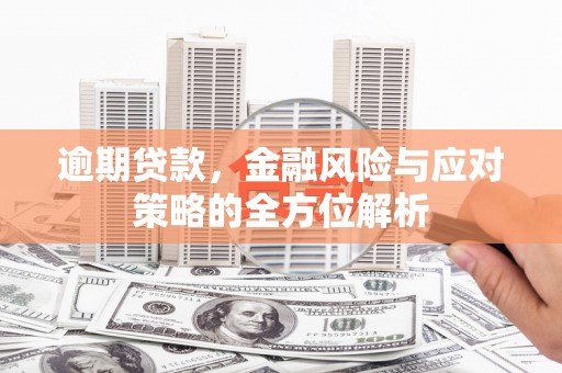 上林逾期贷款，金融风险与应对策略的全方位解析